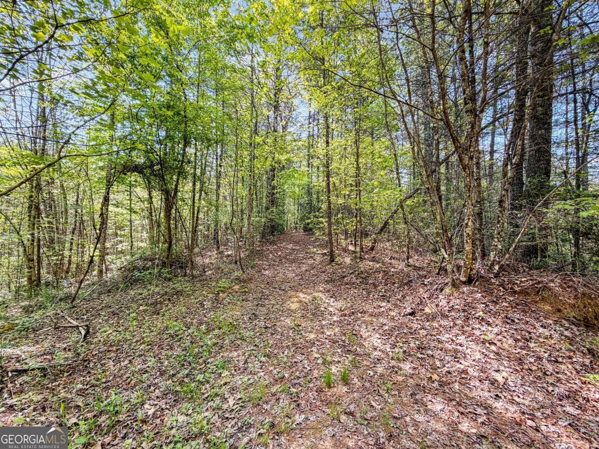 80 Acres Valley Lake Road Mineral Bluff GA 30559