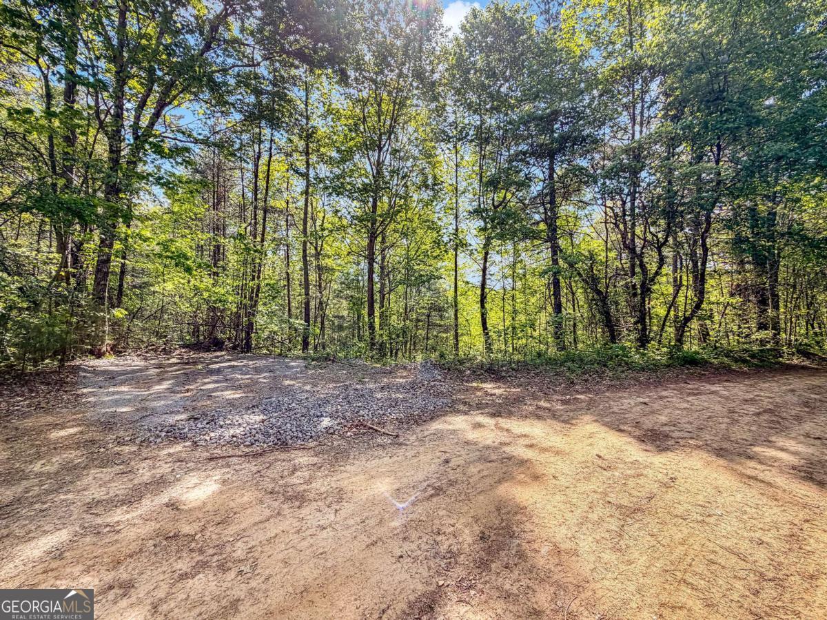 80 Acres Valley Lake Road Mineral Bluff GA 30559