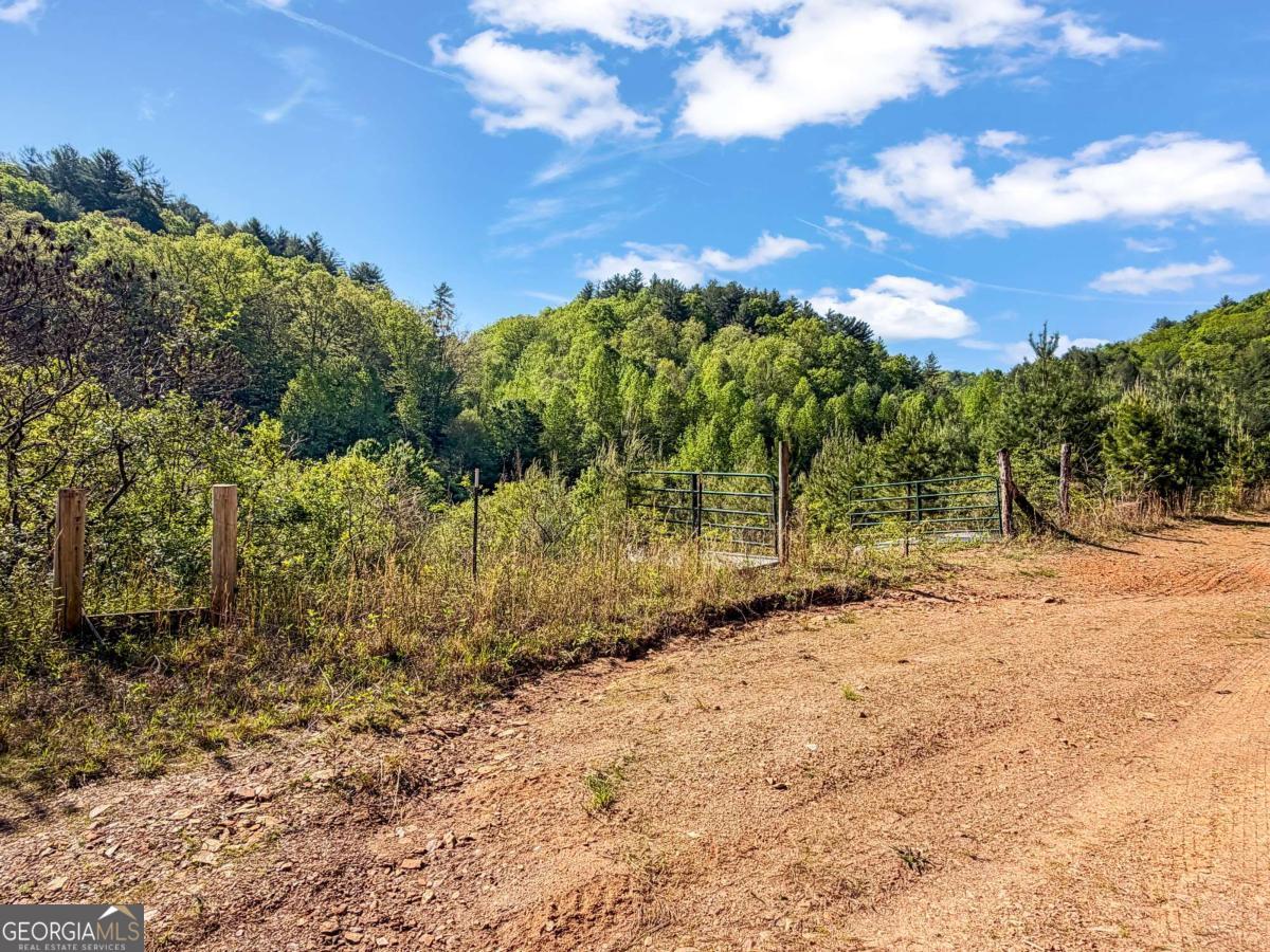 80 Acres Valley Lake Road Mineral Bluff GA 30559