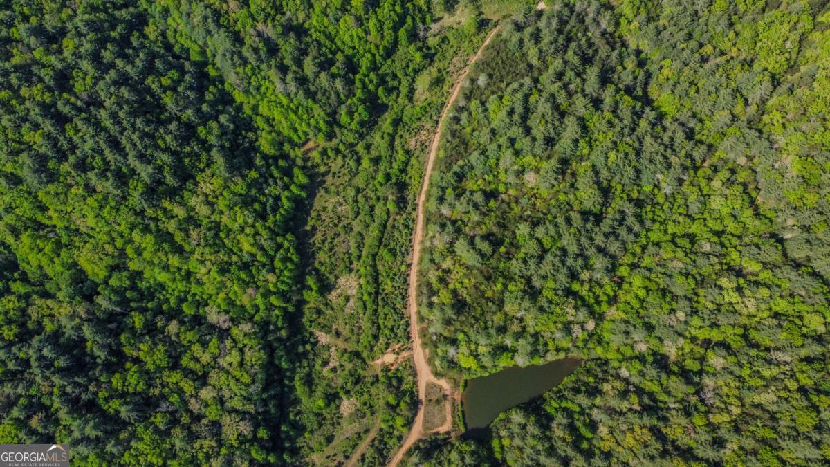 80 Acres Valley Lake Road Mineral Bluff GA 30559