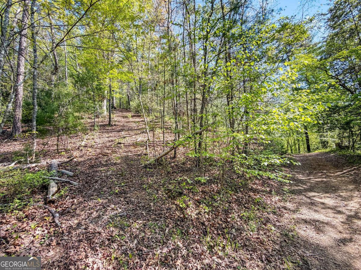 80 Acres Valley Lake Road Mineral Bluff GA 30559