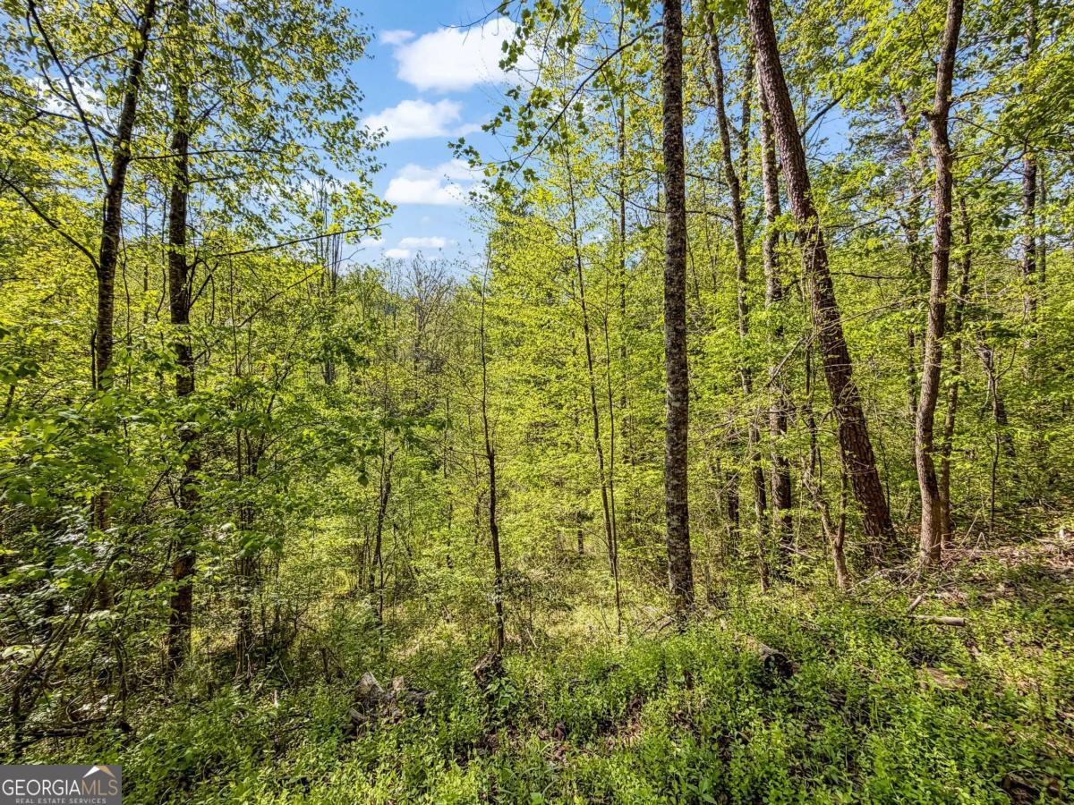 80 Acres Valley Lake Road Mineral Bluff GA 30559