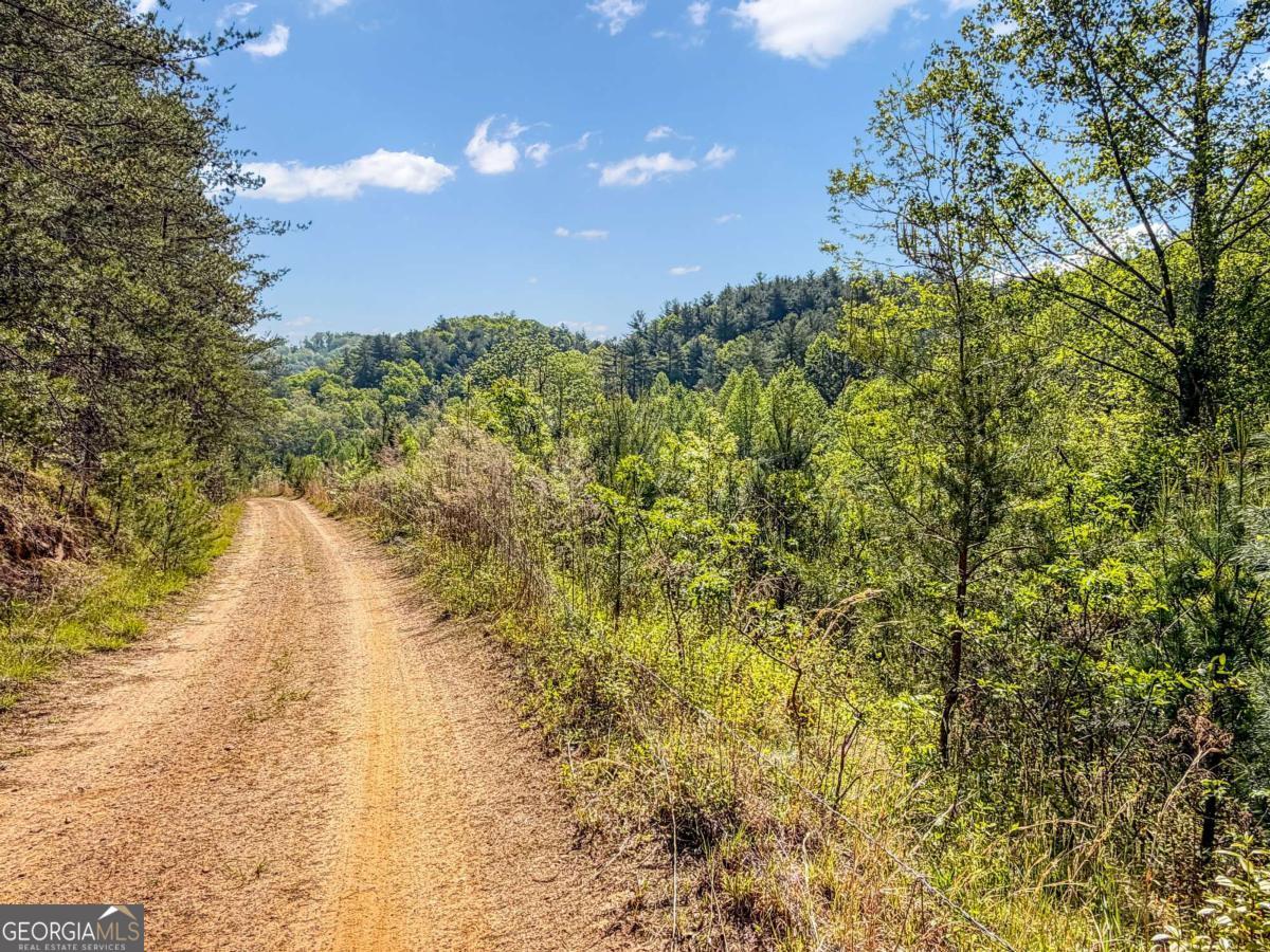 80 Acres Valley Lake Road Mineral Bluff GA 30559