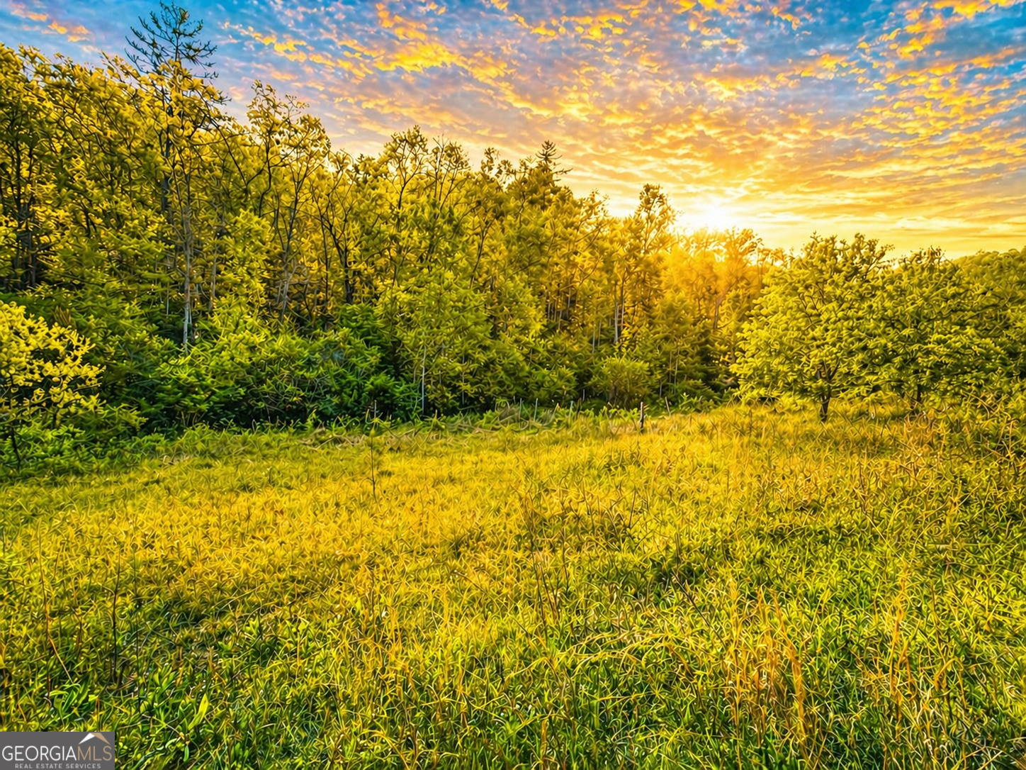 80 Acres Valley Lake Road Mineral Bluff GA 30559