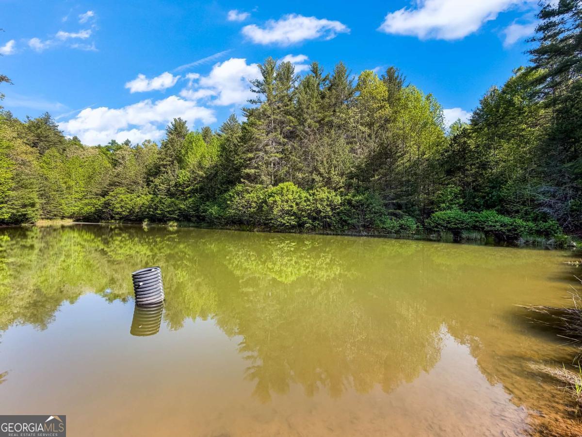 80 Acres Valley Lake Road Mineral Bluff GA 30559