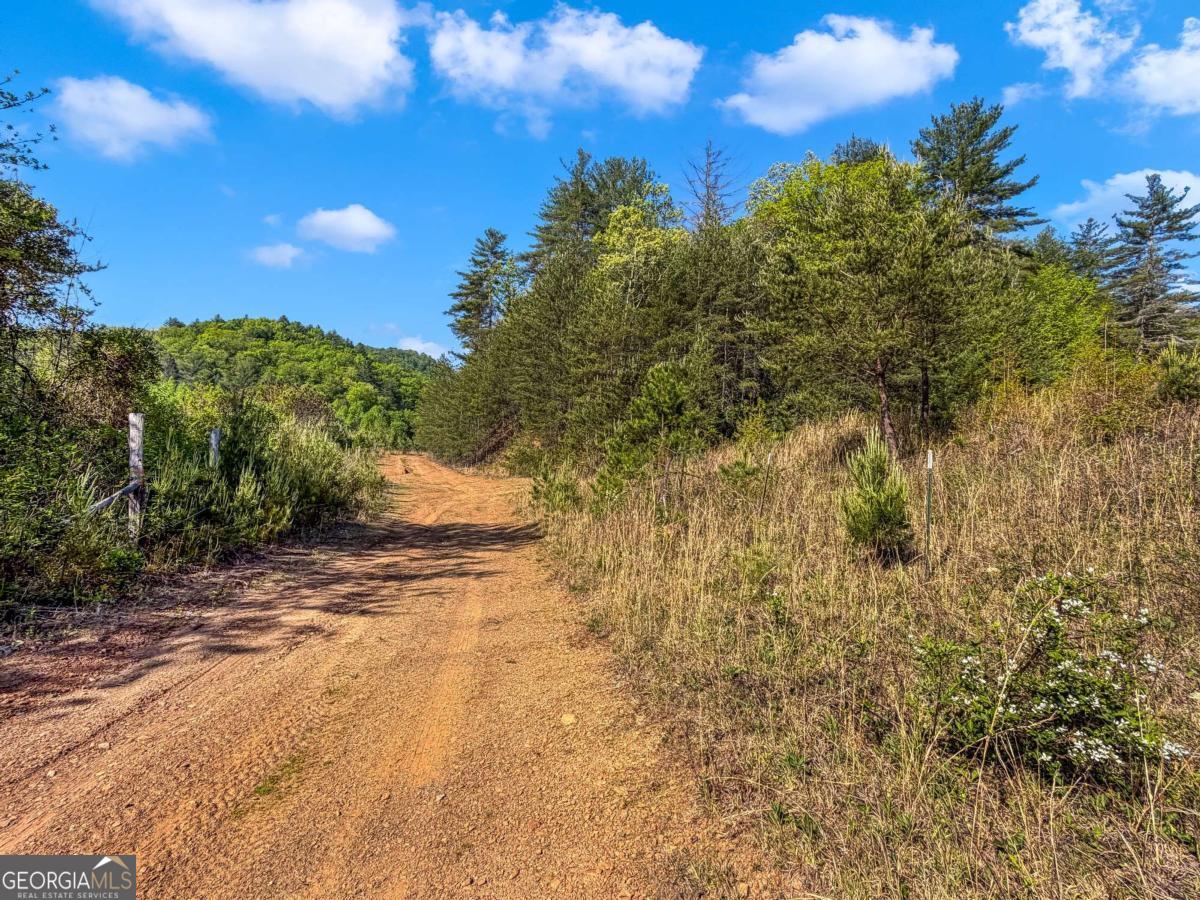 80 Acres Valley Lake Road Mineral Bluff GA 30559