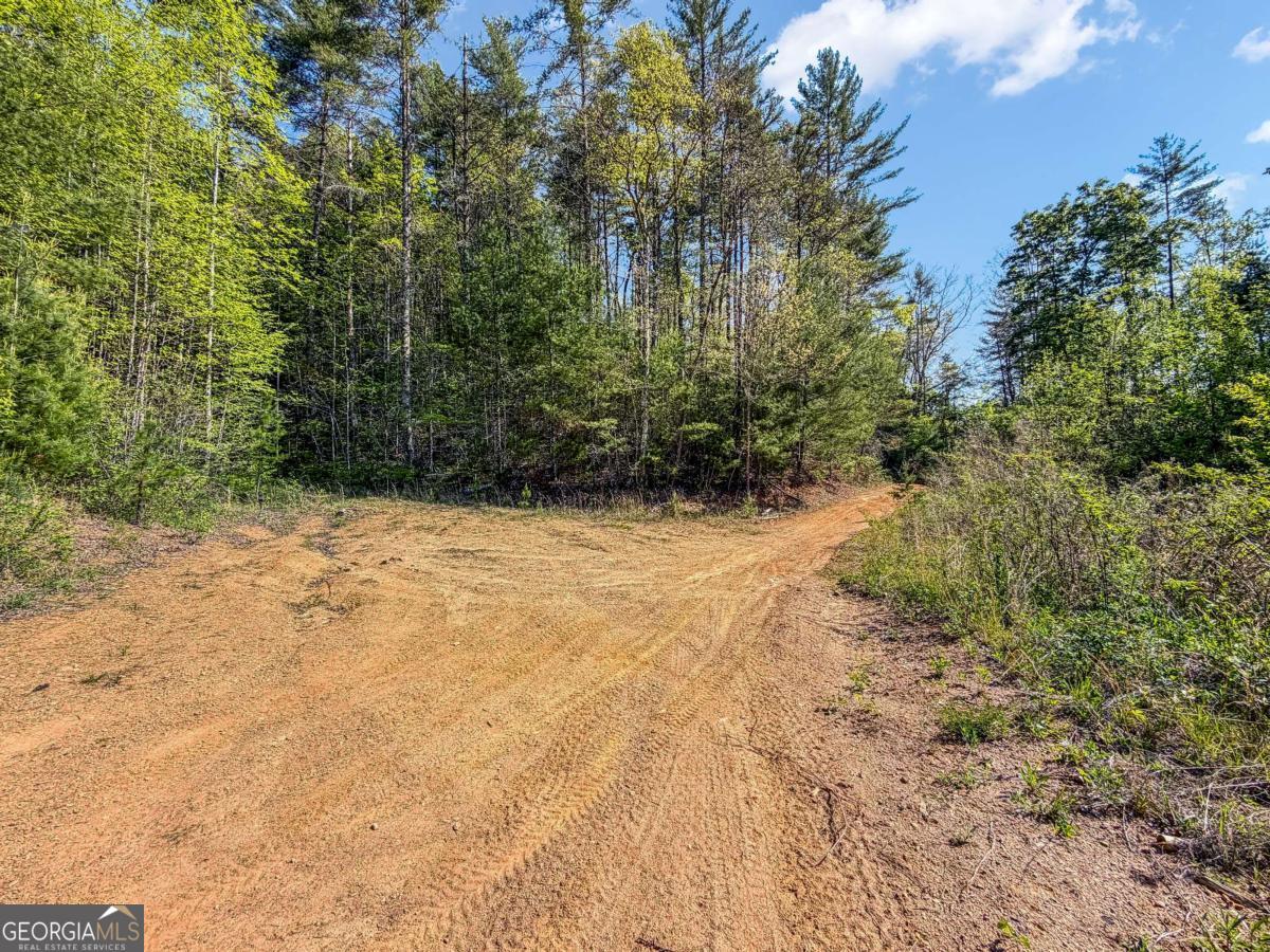 80 Acres Valley Lake Road Mineral Bluff GA 30559