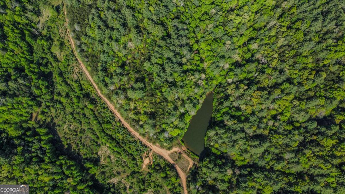 80 Acres Valley Lake Road Mineral Bluff GA 30559