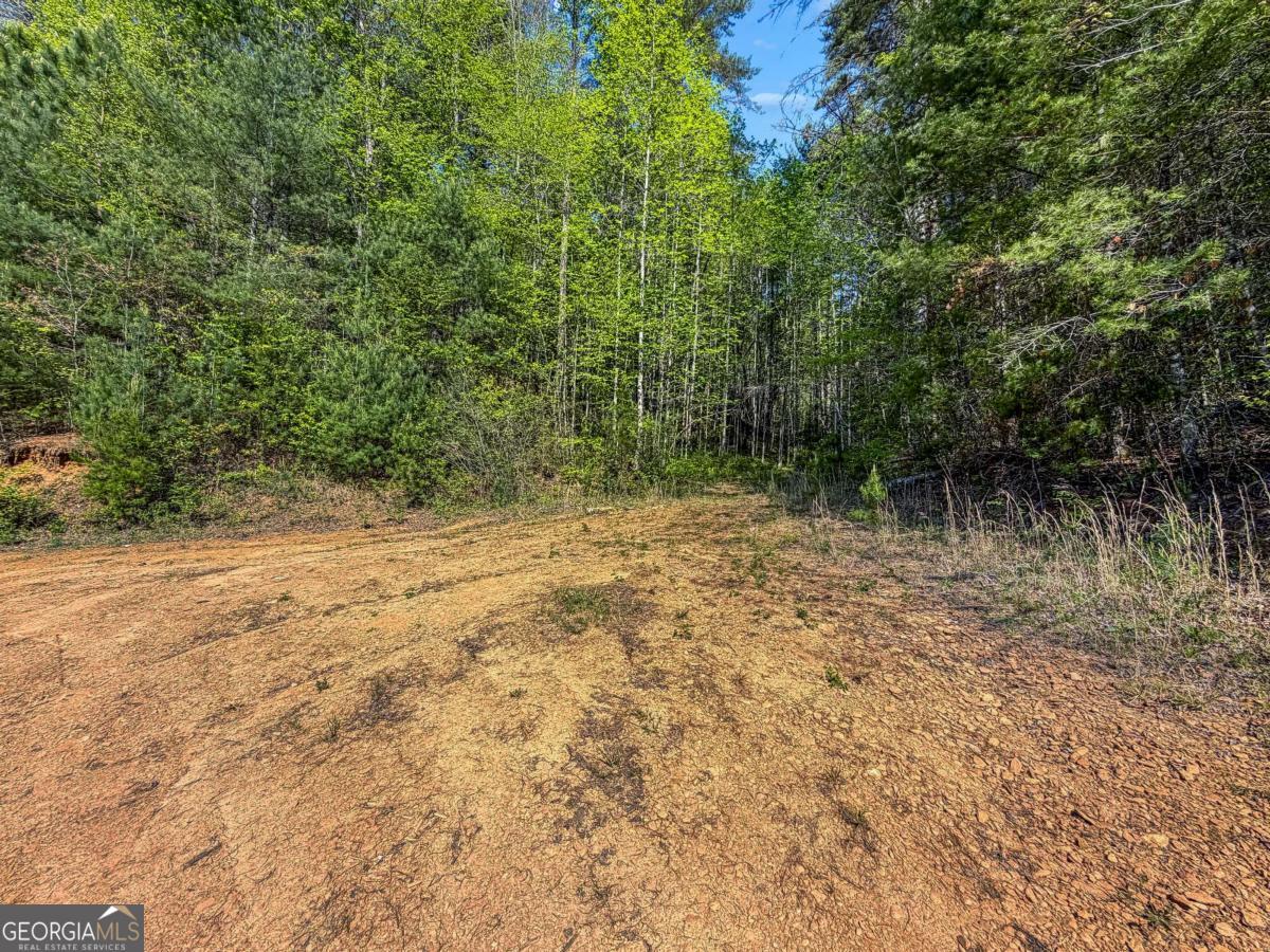 80 Acres Valley Lake Road Mineral Bluff GA 30559
