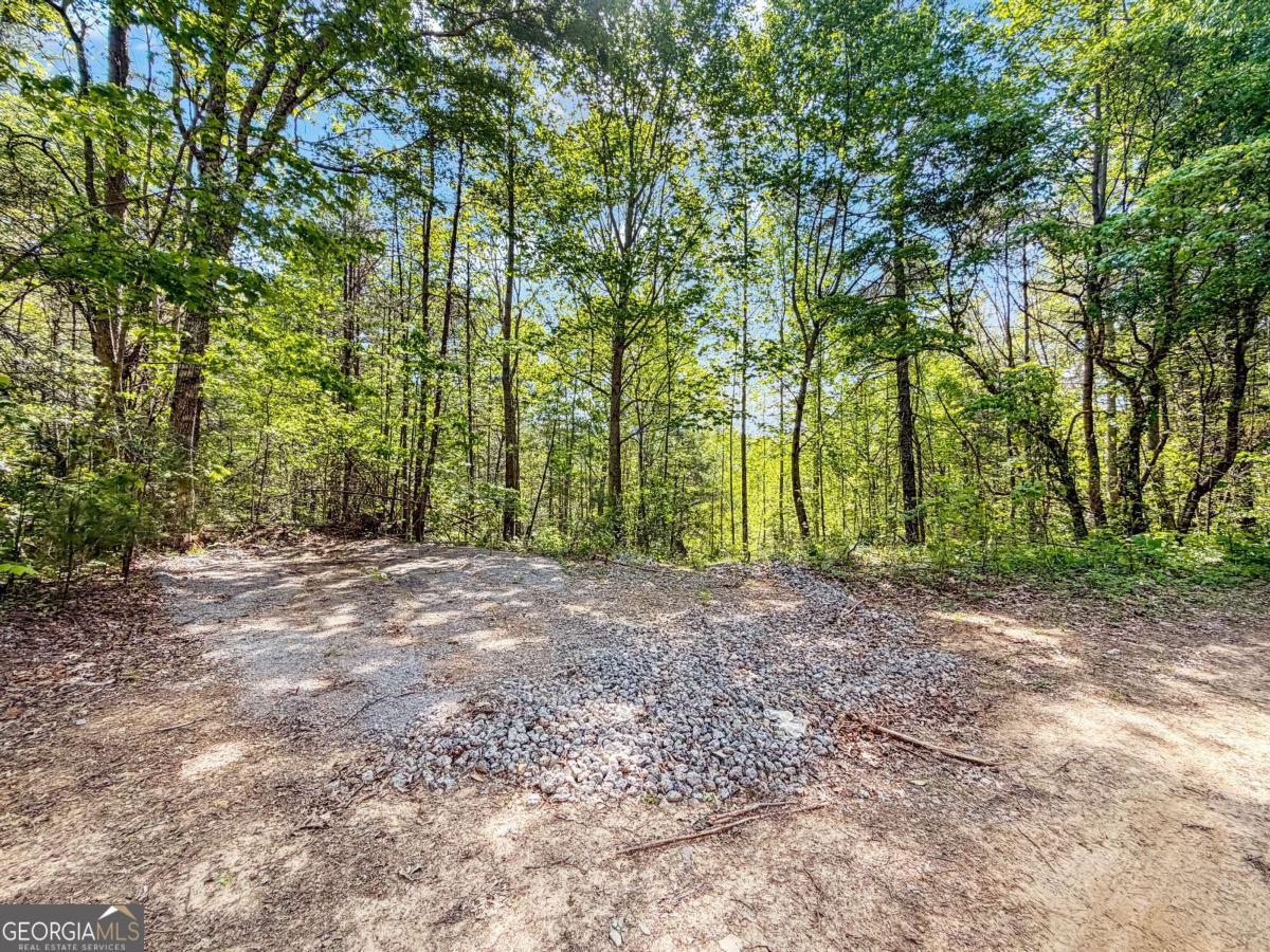 80 Acres Valley Lake Road Mineral Bluff GA 30559
