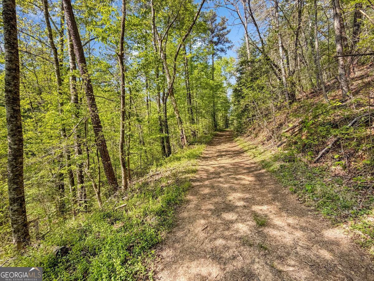 80 Acres Valley Lake Road Mineral Bluff GA 30559