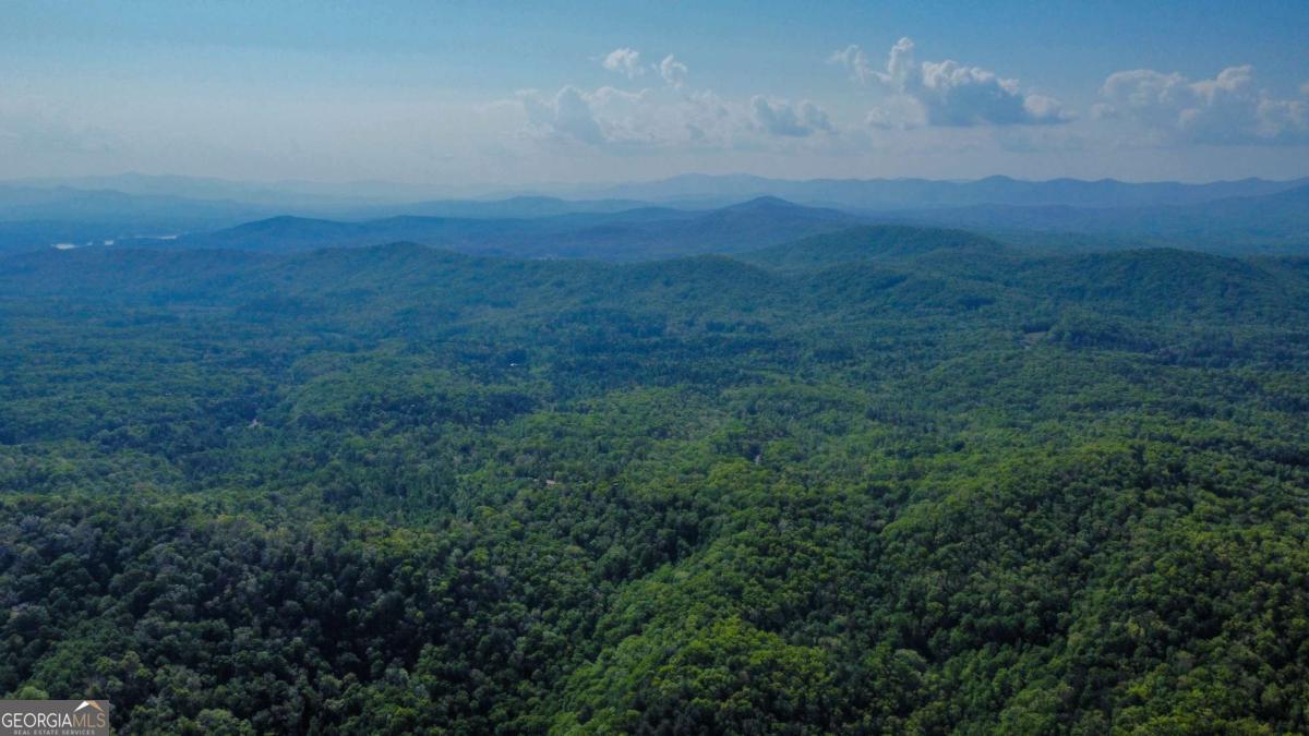 80 Acres Valley Lake Road Mineral Bluff GA 30559