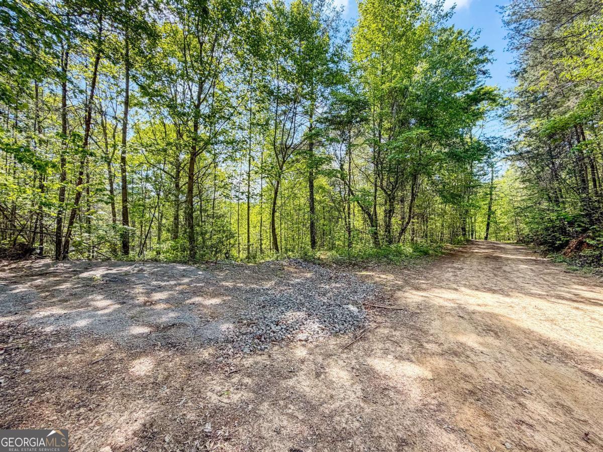 80 Acres Valley Lake Road Mineral Bluff GA 30559