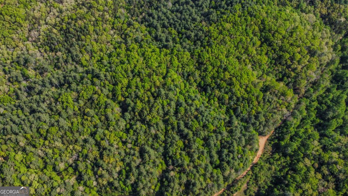 80 Acres Valley Lake Road Mineral Bluff GA 30559