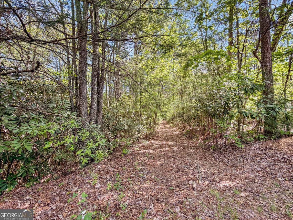 80 Acres Valley Lake Road Mineral Bluff GA 30559