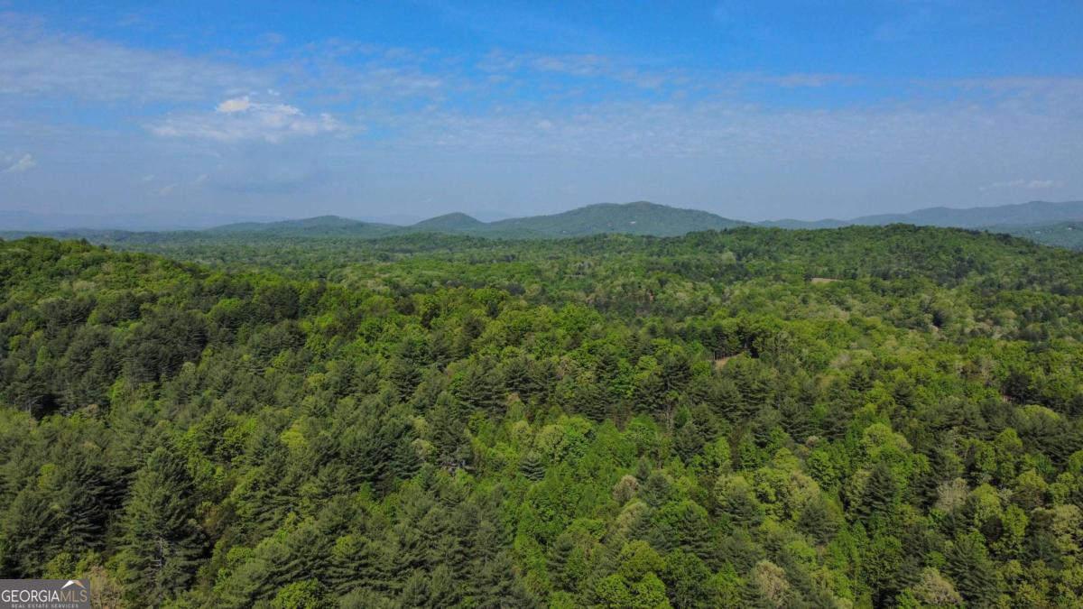 80 Acres Valley Lake Road Mineral Bluff GA 30559