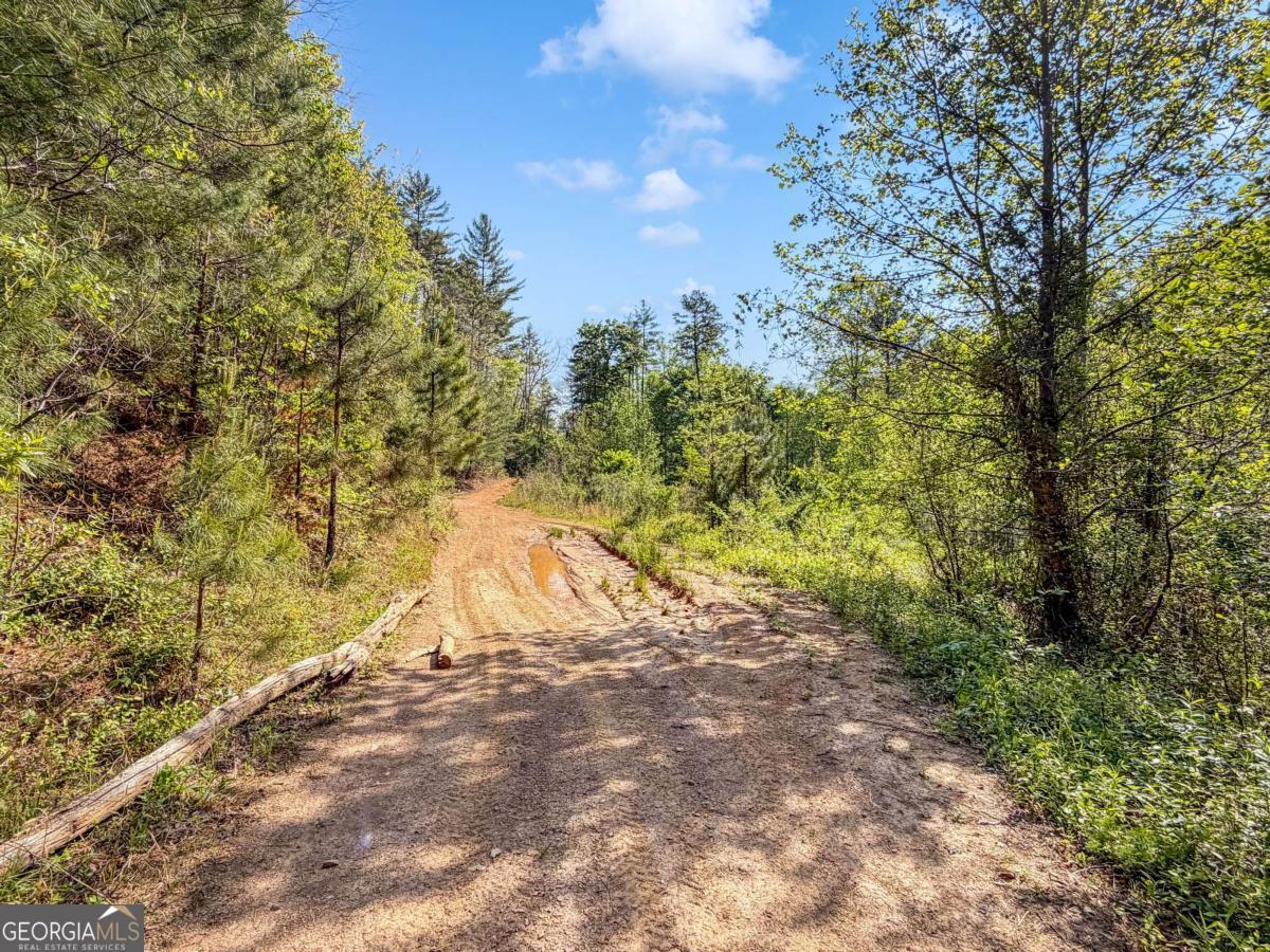 80 Acres Valley Lake Road Mineral Bluff GA 30559