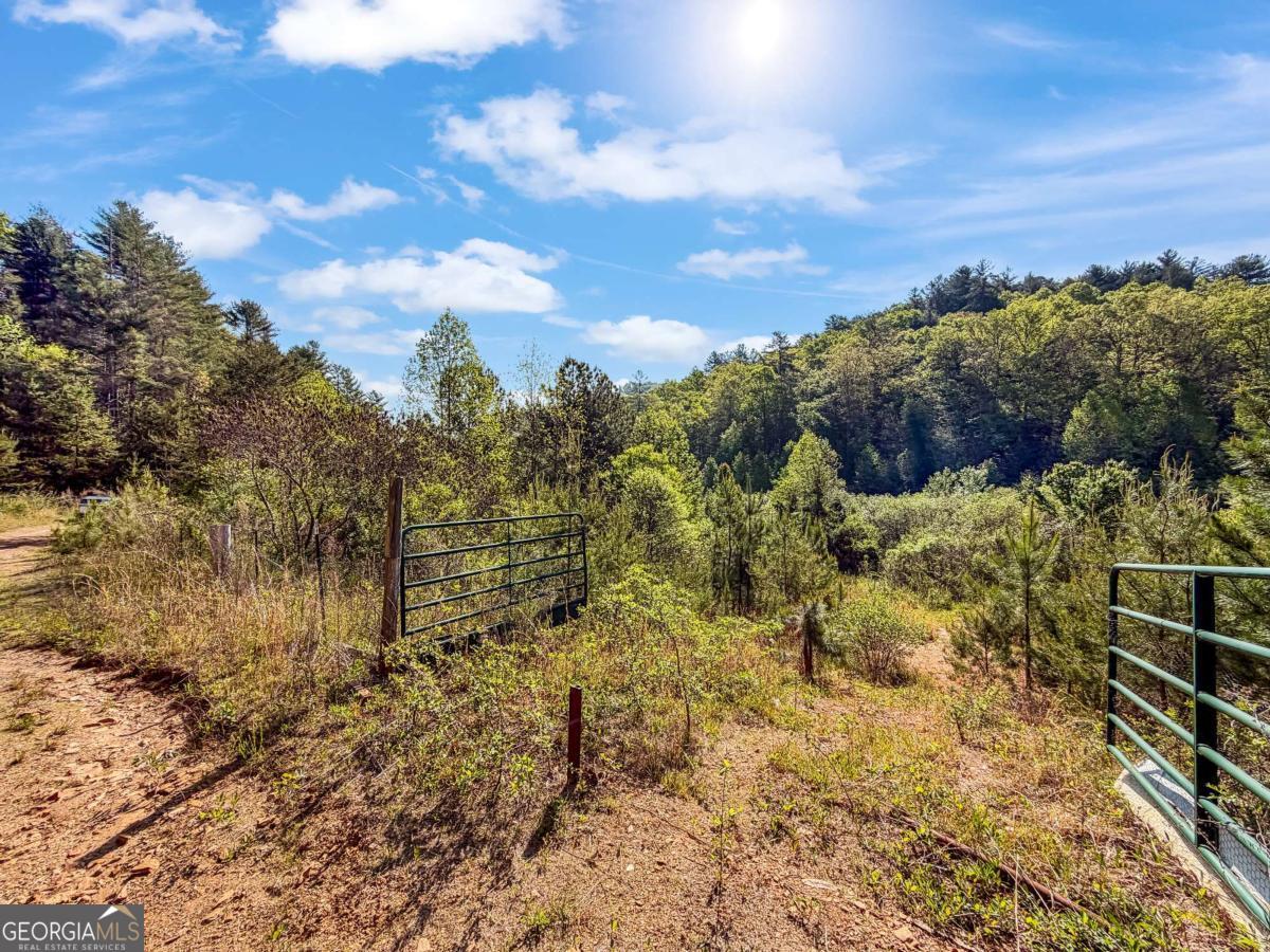 80 Acres Valley Lake Road Mineral Bluff GA 30559