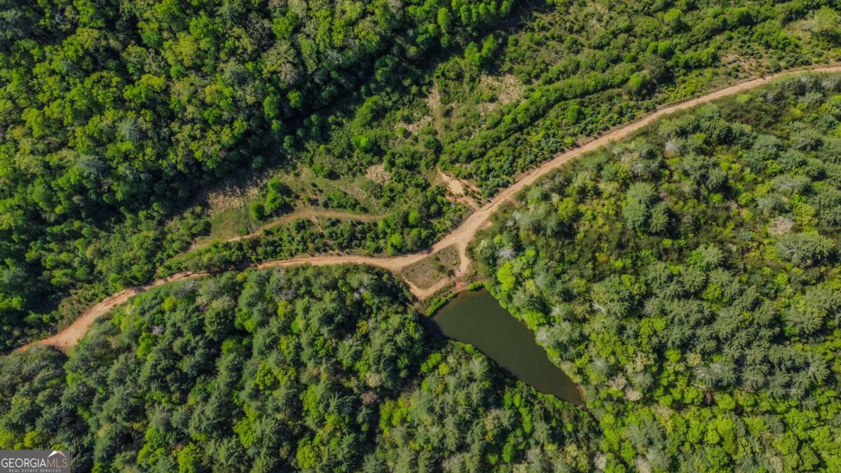 80 Acres Valley Lake Road Mineral Bluff GA 30559
