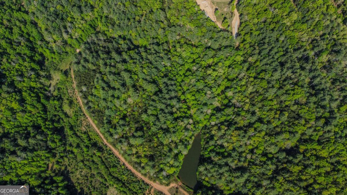 80 Acres Valley Lake Road Mineral Bluff GA 30559