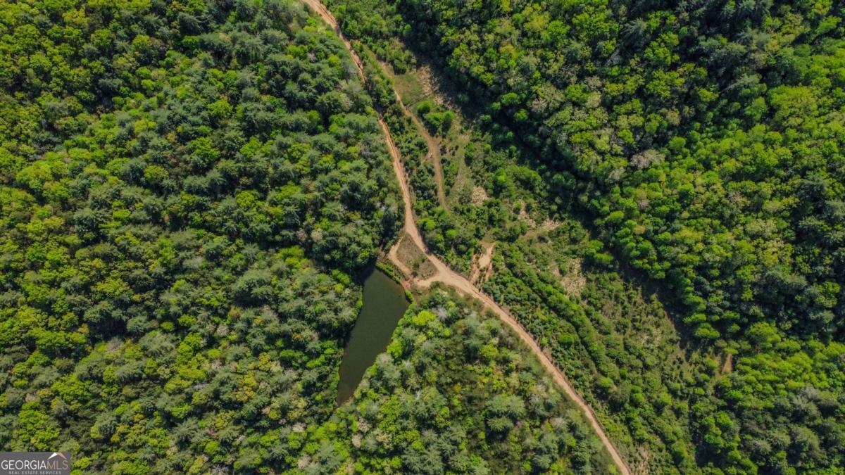 80 Acres Valley Lake Road Mineral Bluff GA 30559