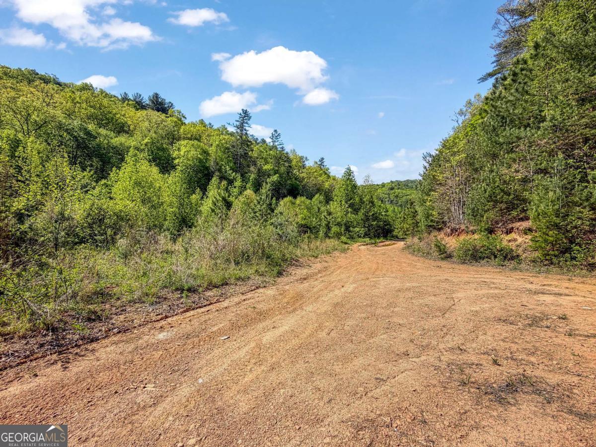 80 Acres Valley Lake Road Mineral Bluff GA 30559