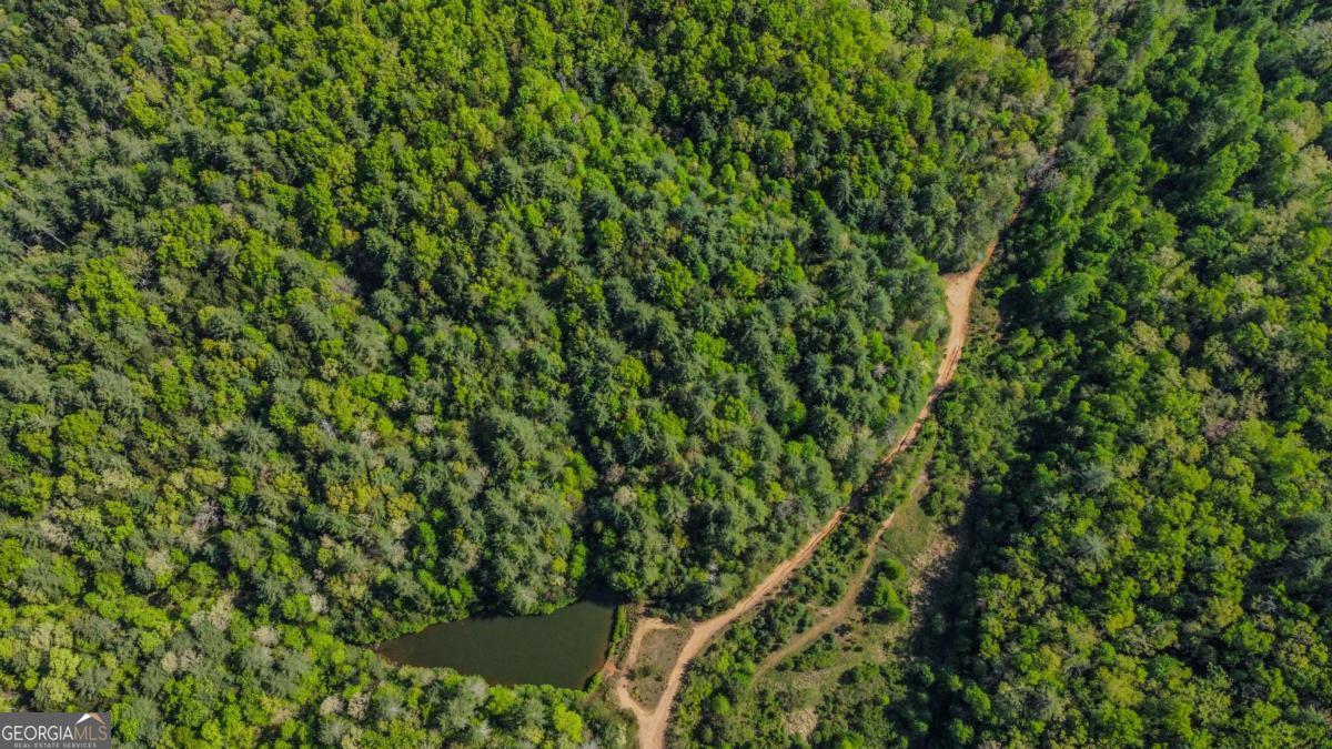 80 Acres Valley Lake Road Mineral Bluff GA 30559