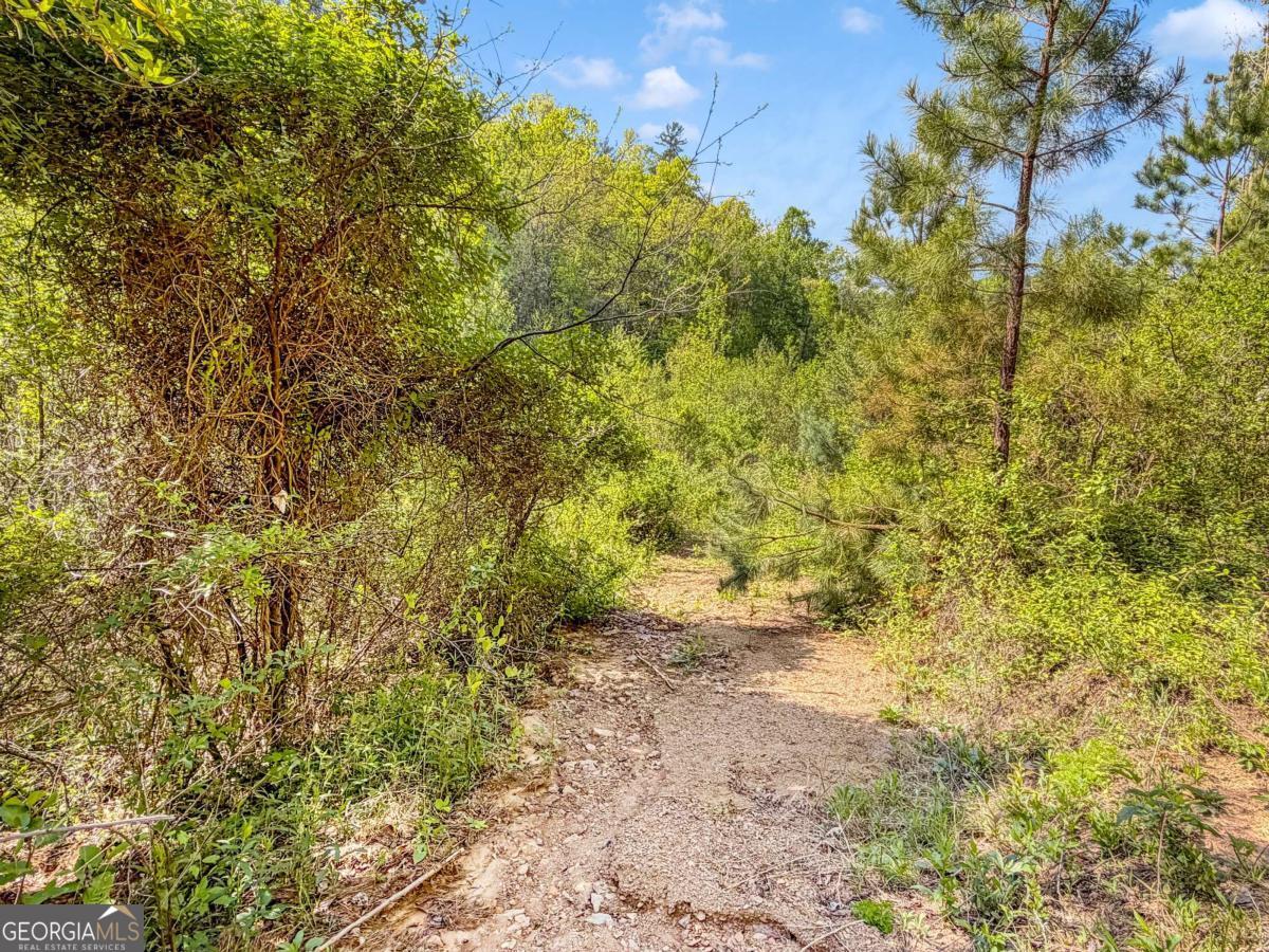 80 Acres Valley Lake Road Mineral Bluff GA 30559