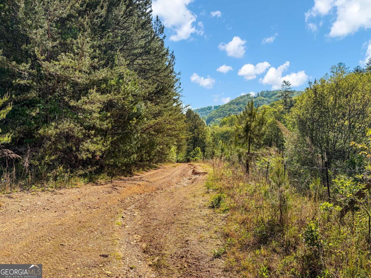80 Acres Valley Lake Road Mineral Bluff GA 30559