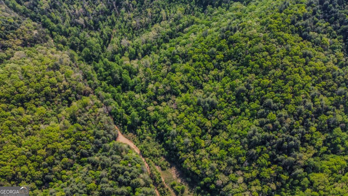 80 Acres Valley Lake Road Mineral Bluff GA 30559