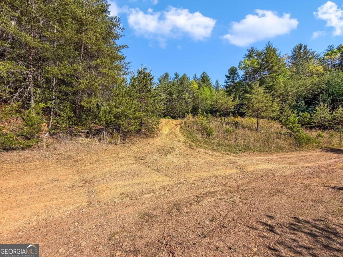 80 Acres Valley Lake Road Mineral Bluff GA 30559