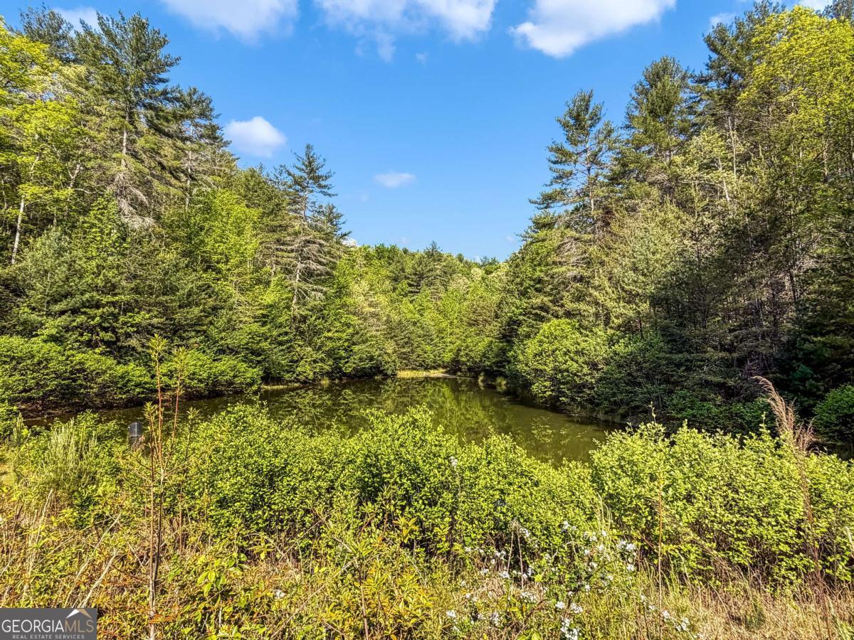 80 Acres Valley Lake Road Mineral Bluff GA 30559