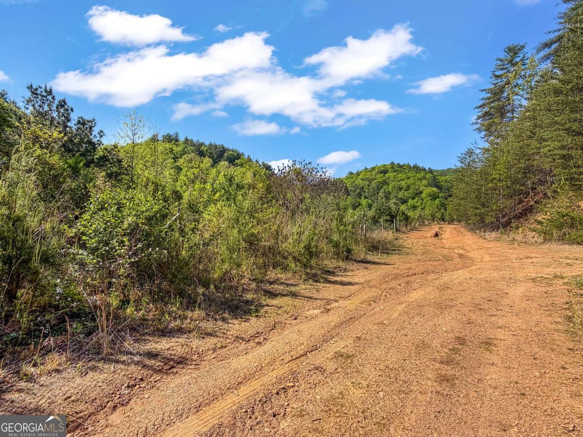80 Acres Valley Lake Road Mineral Bluff GA 30559
