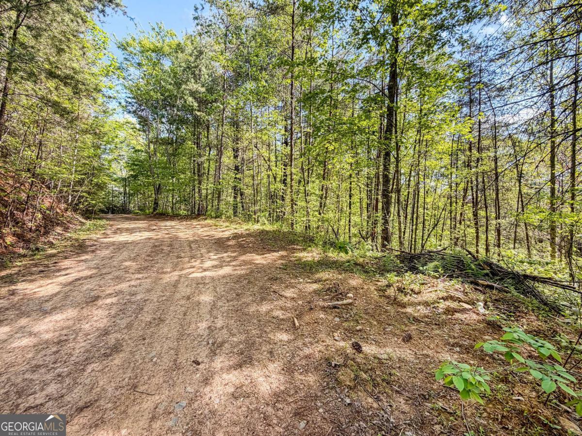 80 Acres Valley Lake Road Mineral Bluff GA 30559