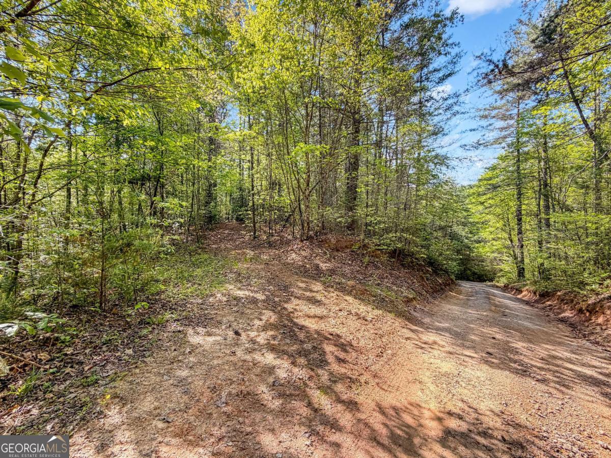 80 Acres Valley Lake Road Mineral Bluff GA 30559