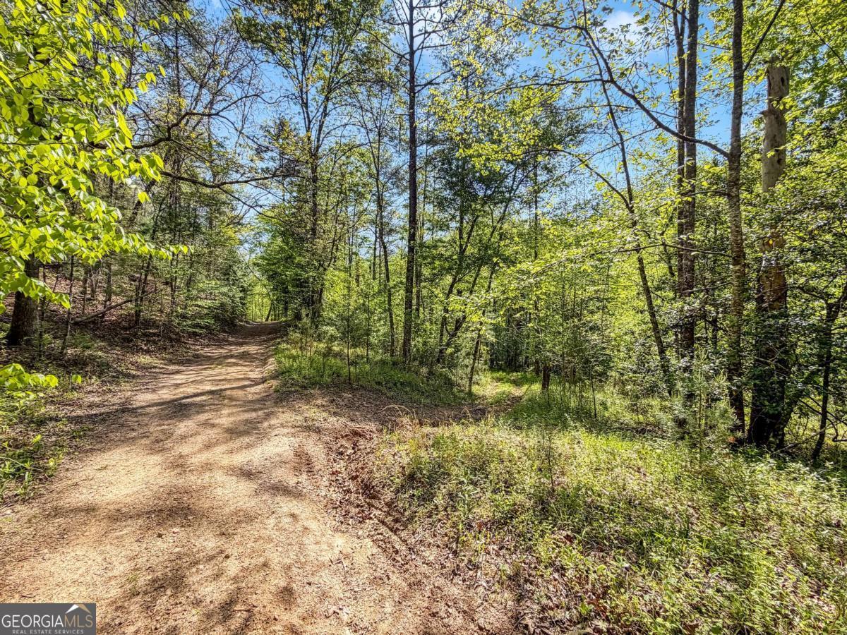 80 Acres Valley Lake Road Mineral Bluff GA 30559