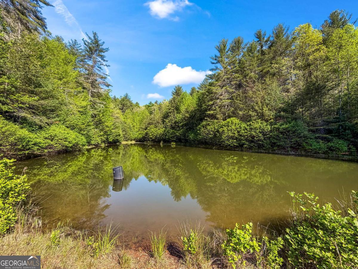 80 Acres Valley Lake Road Mineral Bluff GA 30559