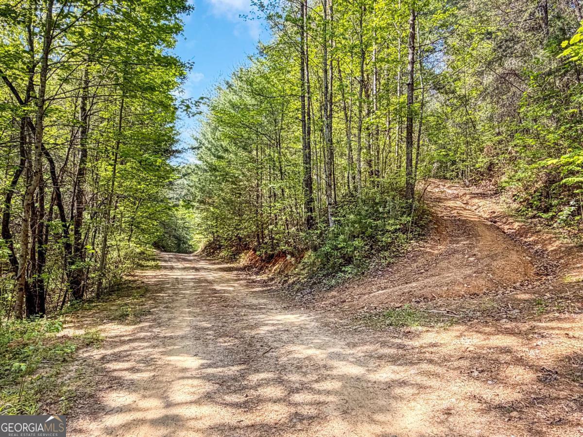 80 Acres Valley Lake Road Mineral Bluff GA 30559