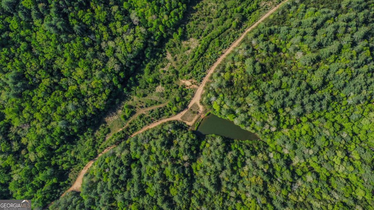 80 Acres Valley Lake Road Mineral Bluff GA 30559