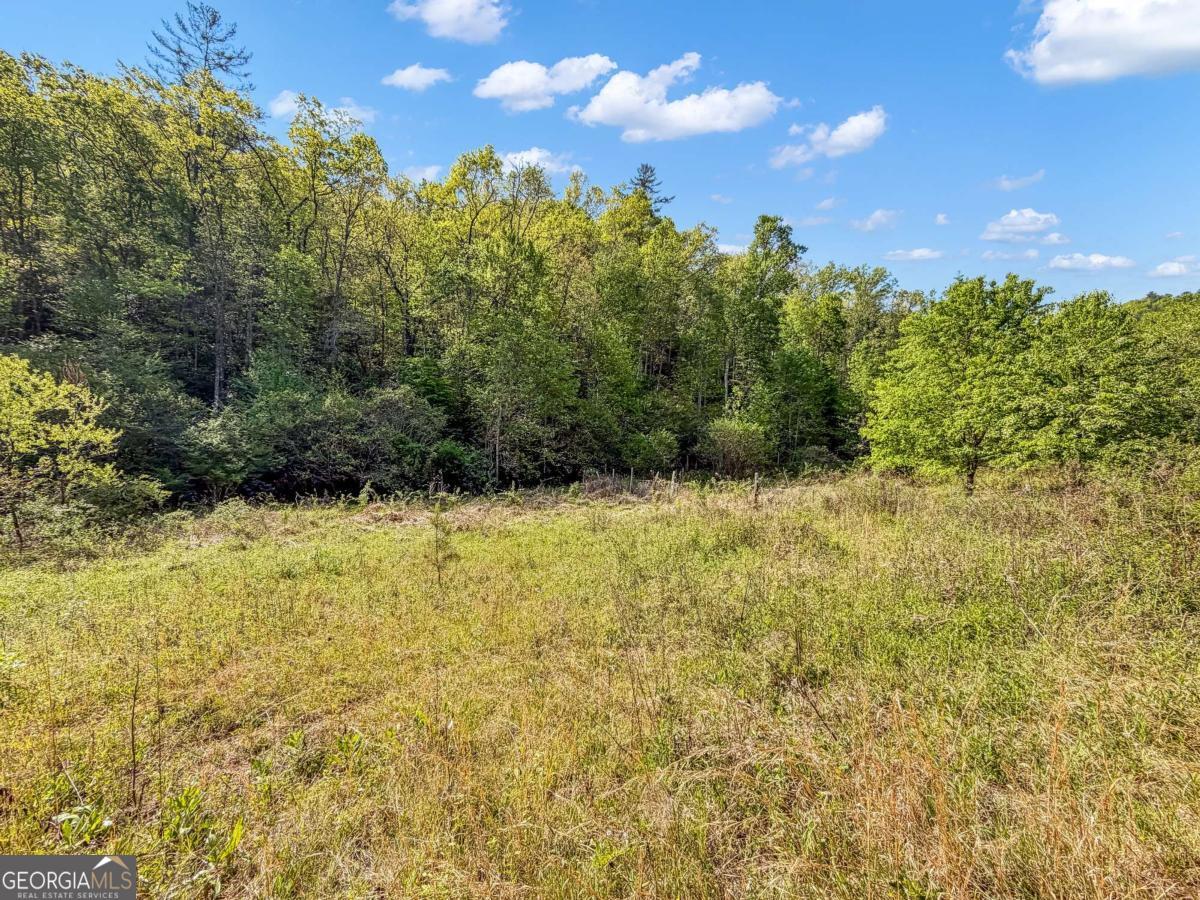80 Acres Valley Lake Road Mineral Bluff GA 30559