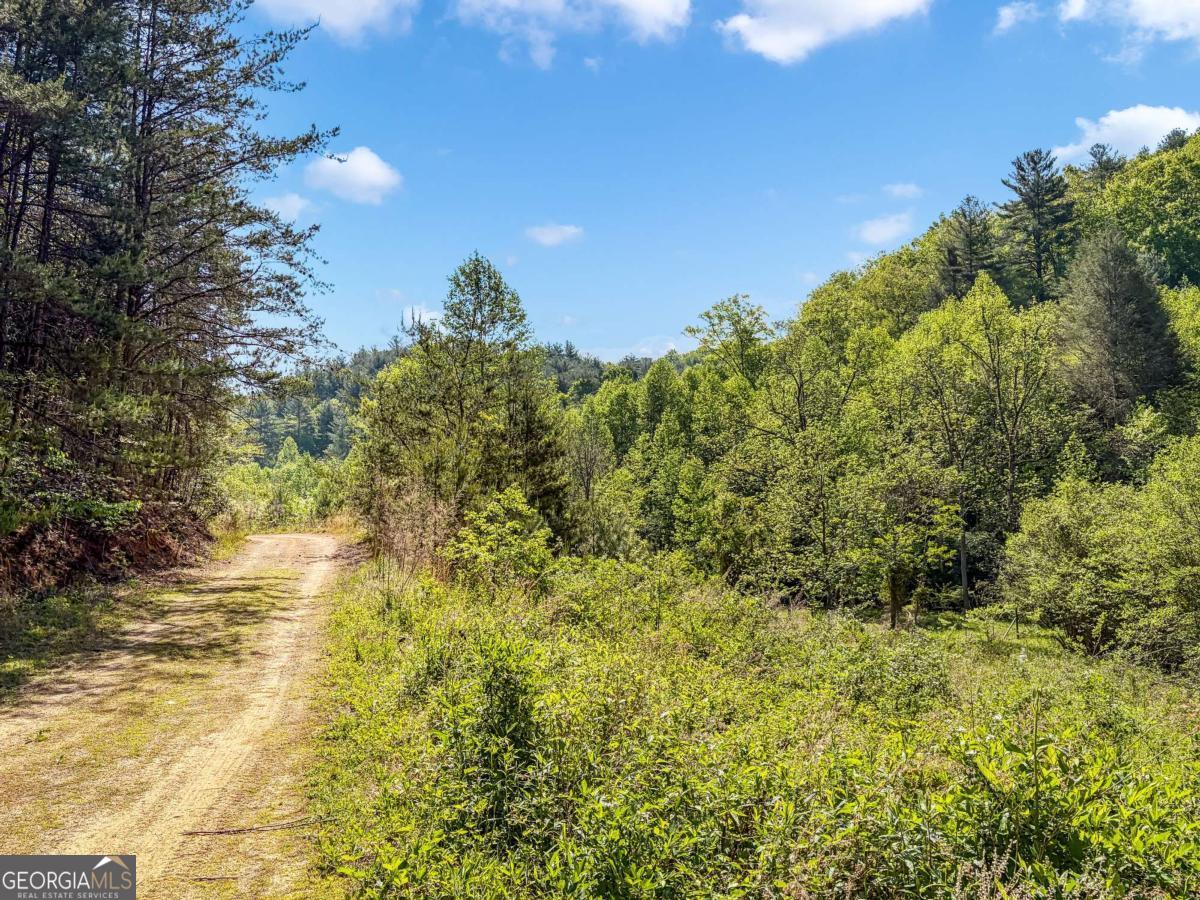 80 Acres Valley Lake Road Mineral Bluff GA 30559