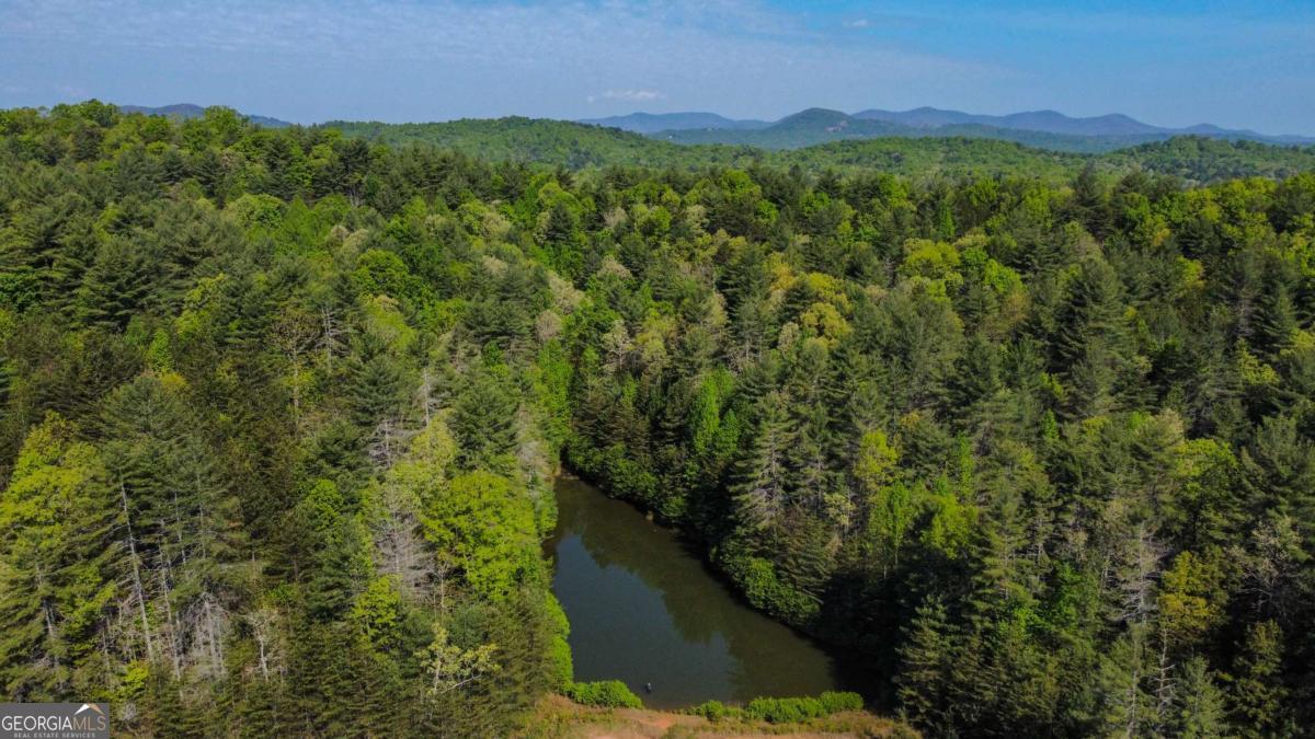 80 Acres Valley Lake Road Mineral Bluff GA 30559