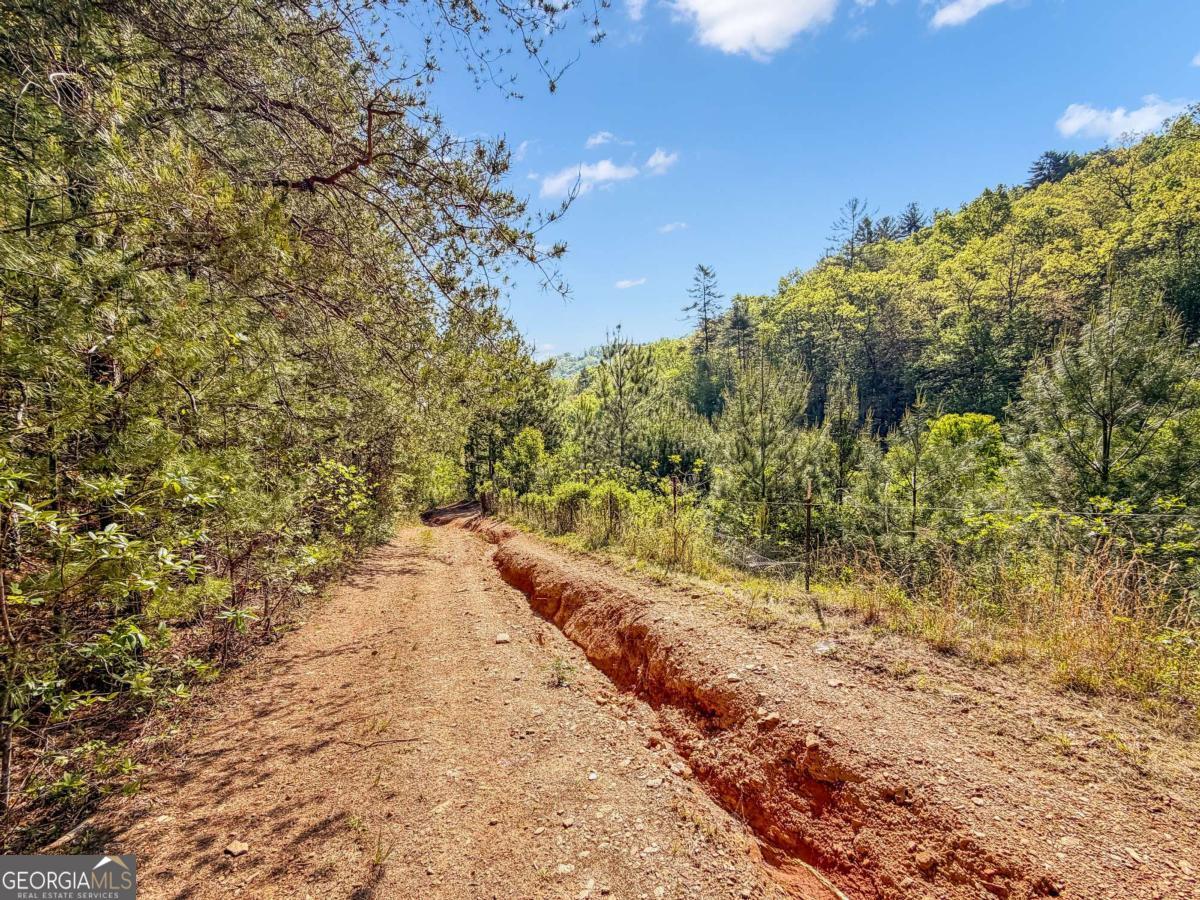 80 Acres Valley Lake Road Mineral Bluff GA 30559