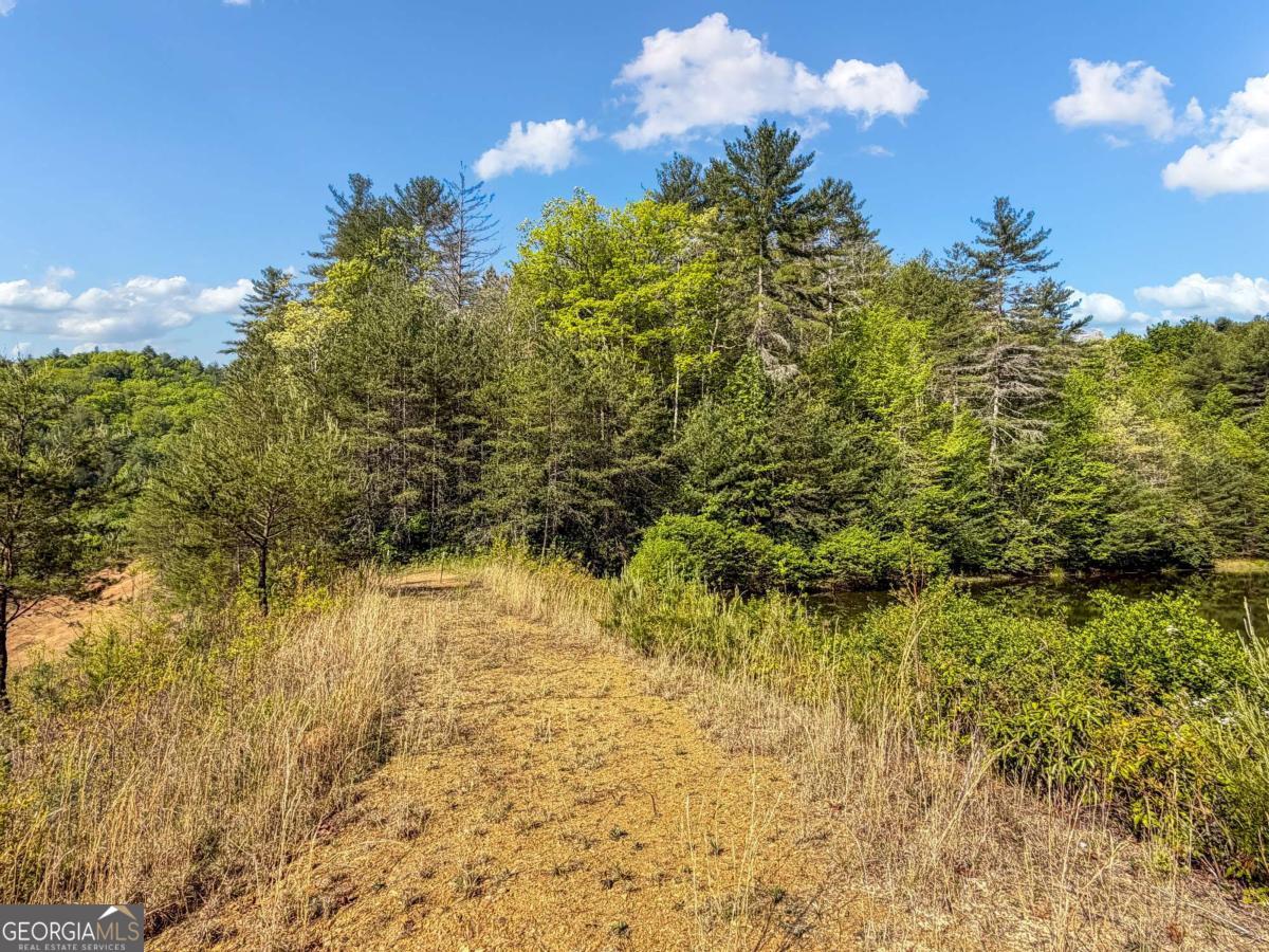 80 Acres Valley Lake Road Mineral Bluff GA 30559