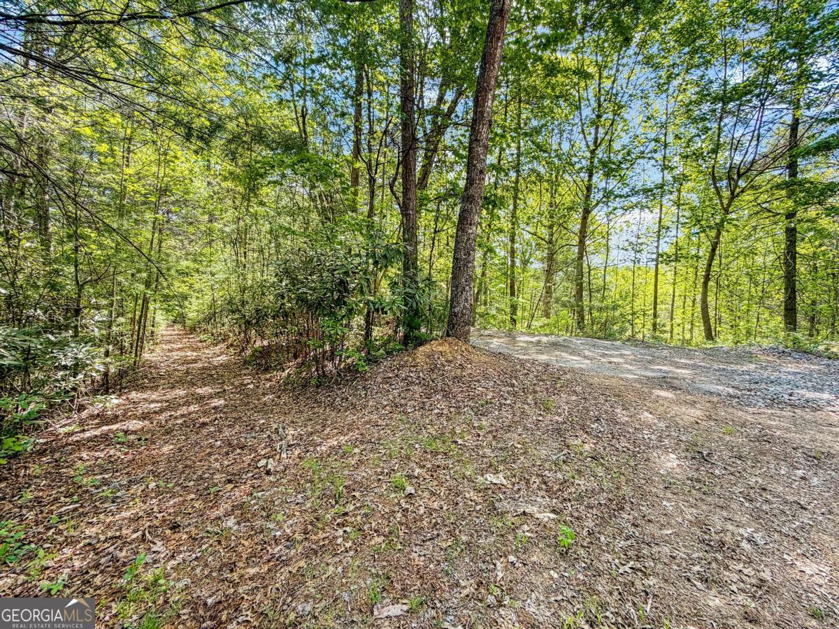80 Acres Valley Lake Road Mineral Bluff GA 30559