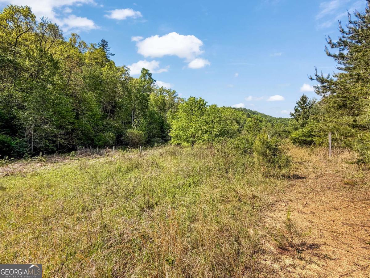80 Acres Valley Lake Road Mineral Bluff GA 30559