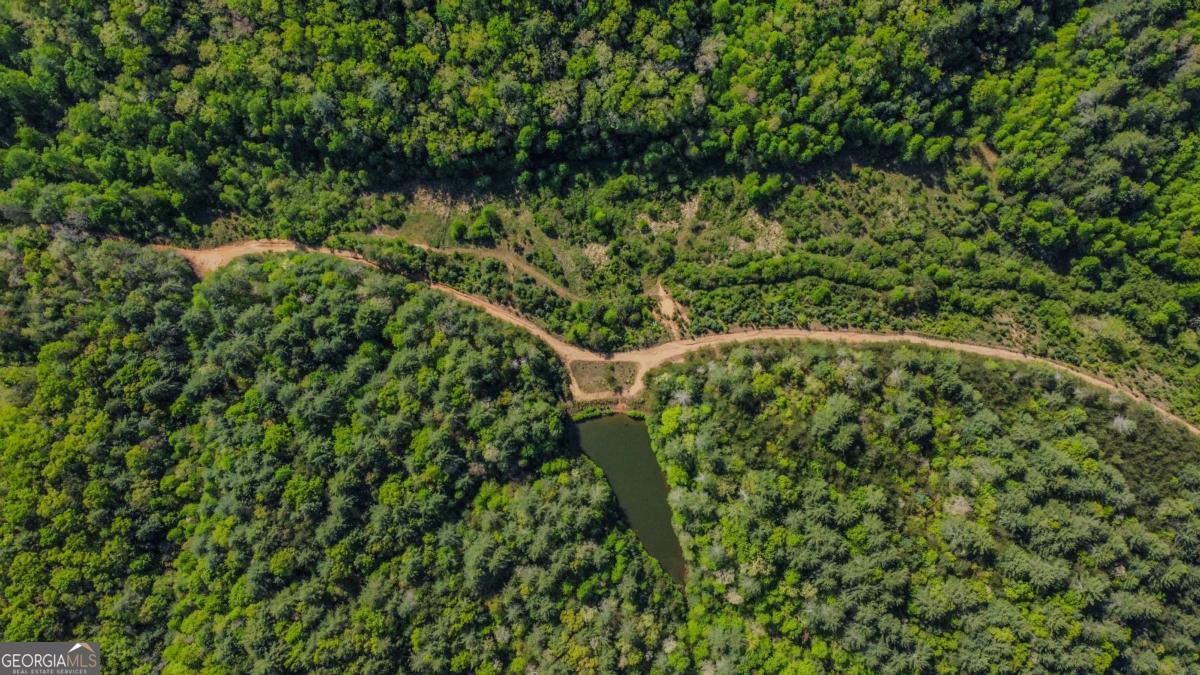 80 Acres Valley Lake Road Mineral Bluff GA 30559