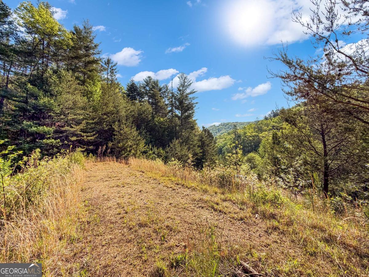 80 Acres Valley Lake Road Mineral Bluff GA 30559