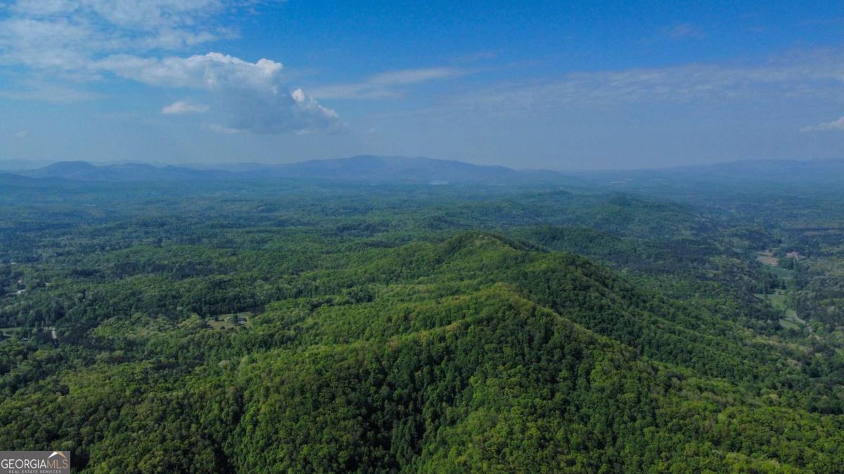 80 Acres Valley Lake Road Mineral Bluff GA 30559