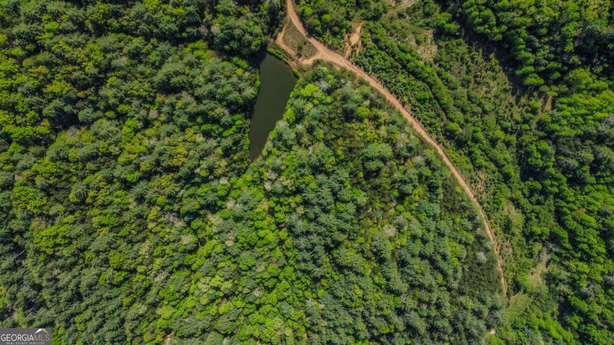 80 Acres Valley Lake Road Mineral Bluff GA 30559